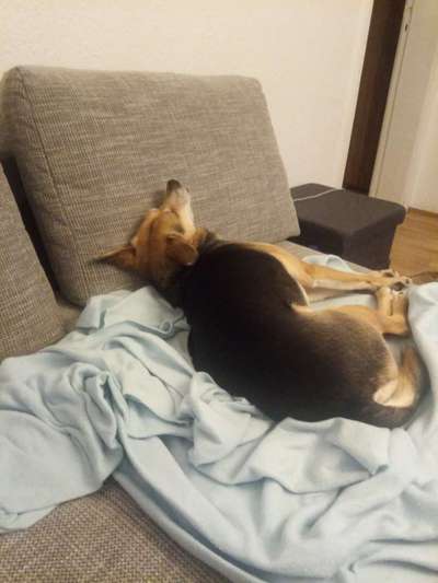 Die unbequemsten und lustigsten Schlafpositionen-Beitrag-Bild