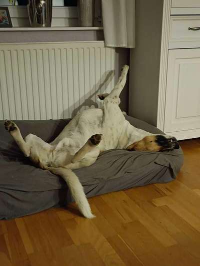 Foto Challange Nr.80-Beitrag-Bild