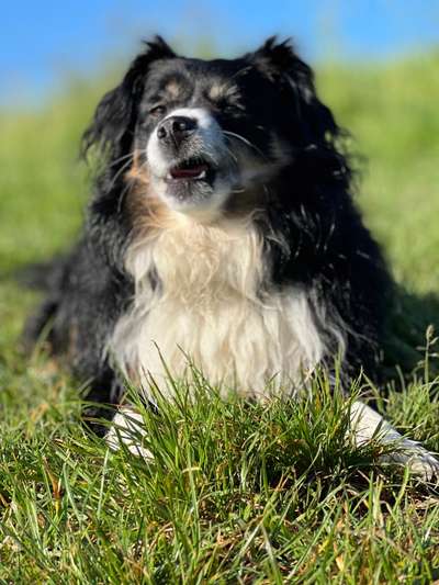 Lustige Grimassen & verrückte Posen-Beitrag-Bild