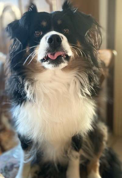 Handyfoto challenge Nr. 13: Waschlappen raus!-Beitrag-Bild