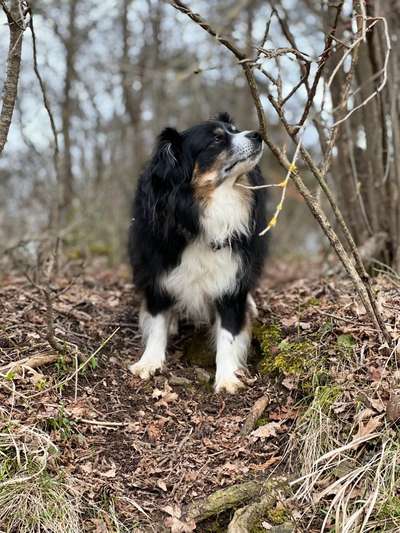 Foto Challenge Nr. 79-Beitrag-Bild