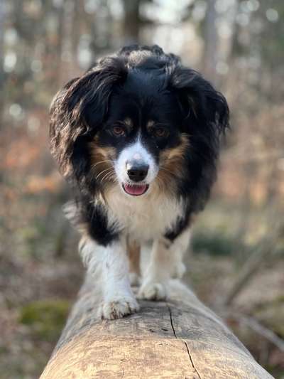 Fotowettbewerb Natur-Beitrag-Bild