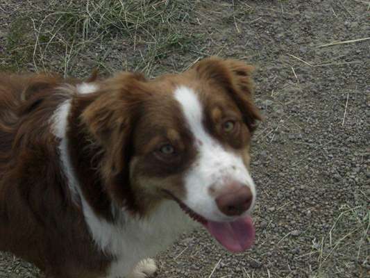 Fotochallange Nr. 57     PORTRÄT.   Beendet!!!!!!!!-Beitrag-Bild