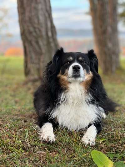 Zeigt eure Portraits-Beitrag-Bild