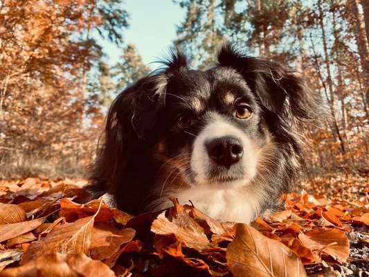 Fotochallange Nr. 57     PORTRÄT.   Beendet!!!!!!!!-Beitrag-Bild