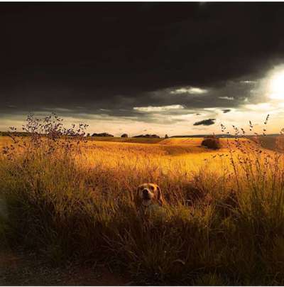 Fotowettbewerb Natur-Beitrag-Bild