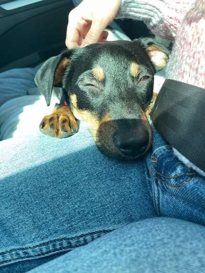 Foto Challenge Nr. 134-Beitrag-Bild