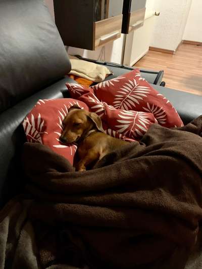 Die unbequemsten und lustigsten Schlafpositionen-Beitrag-Bild