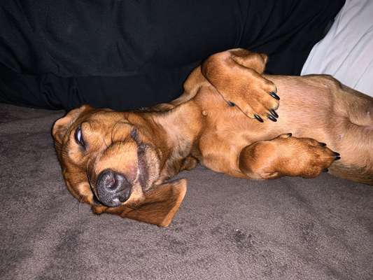 Die unbequemsten und lustigsten Schlafpositionen-Beitrag-Bild