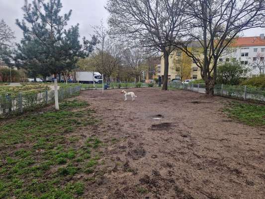 Hundeauslaufgebiet-Gernotstraße-Bild