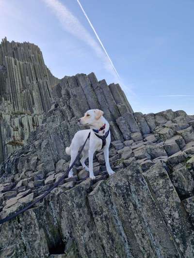 Fotochallenge Nr 107-Beitrag-Bild