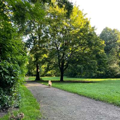 Hundeauslaufgebiet-Nordmarkstraße/Am Hohen Hause-Bild