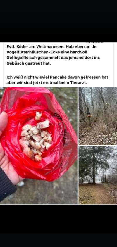 Giftköder-Giftköder Weitmannsee-Bild