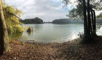 Hundeauslaufgebiet-Rundgang Bordesholmer See-Bild