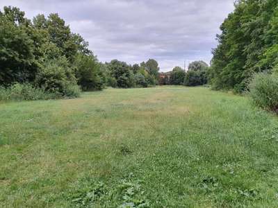 Hundeauslaufgebiet-Auensee-Bild