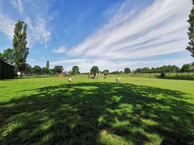 Hundeauslaufgebiet-Hundefreilauf Leinenlos-Bild