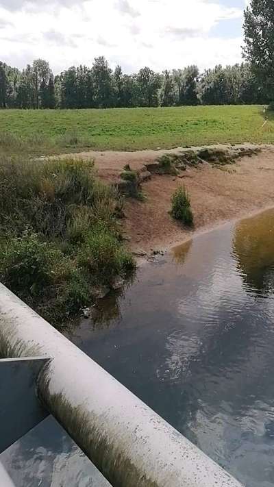 Hundeauslaufgebiet-Hundestrand Löhne-Bild