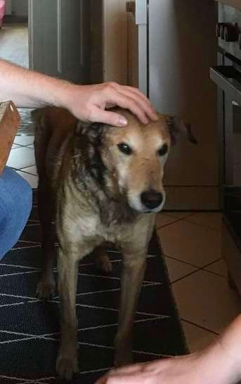 Suchmeldung-Mantas-Bild