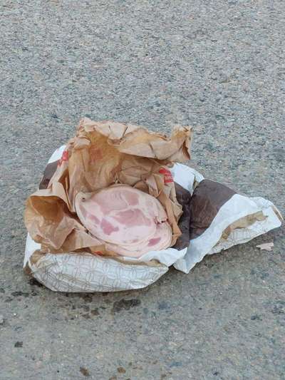 Giftköder-Giftköder-Bild