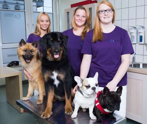 Tierärzte-Tierarztpraxis am Saarnberg-Bild