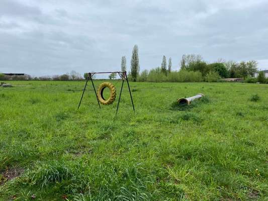 Hundeauslaufgebiet-Kyritz-Bild