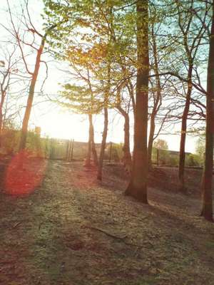 Hundeauslaufgebiet-Norderstedt Willy-Brandt-Park-Bild