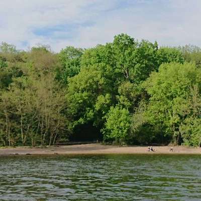 Hundeauslaufgebiet-Am Stößensee Spandau Süd-Bild