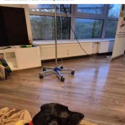 Giftköder-Giftköder-Bild