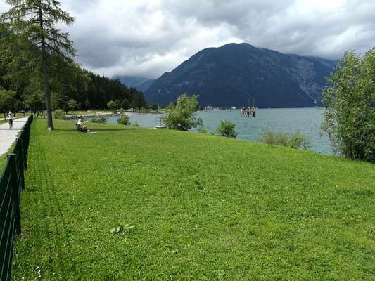 Hundeauslaufgebiet-Hundestrand Achensee-Bild