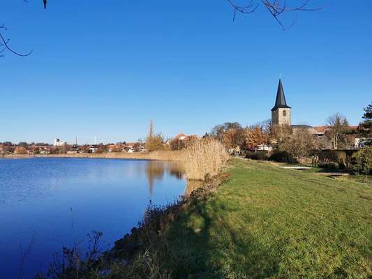 Hundeauslaufgebiet-Seehäuser See-Bild