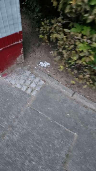 Giftköder-Giftiges Pulver/Granulat-Bild