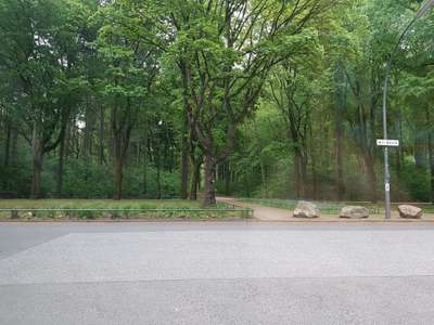 Hundeauslaufgebiet-Volkspark/August-Kirch-Straße-Bild