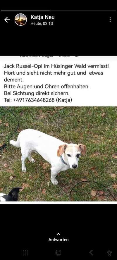 Suchmeldung-Patch-Bild