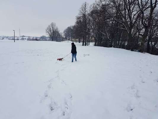 Hundeauslaufgebiet-Protschenberg-Bild