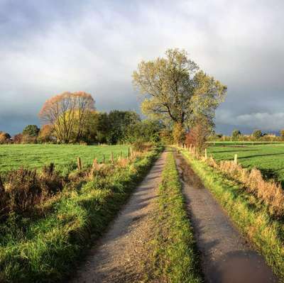 Hundeauslaufgebiet-Großer Rundgang Dätgen-Bild