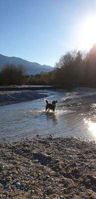 Hundeauslaufgebiet-Flussbett Reßnig-Bild