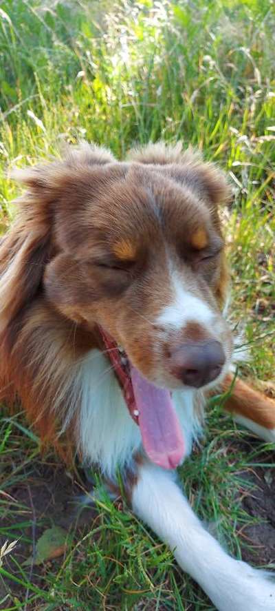 Tongue Out Tuesday-Beitrag-Bild