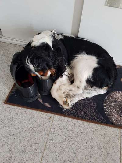 CHALLENGE NR. 34 - Liege-/Schlafpositionen-Beitrag-Bild