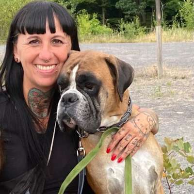 Hundetreffen-Boxer Treffen-Profilbild