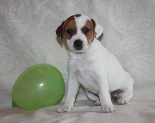 Lieblingsbild :D-Beitrag-Bild