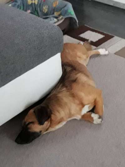 Die unbequemsten und lustigsten Schlafpositionen-Beitrag-Bild