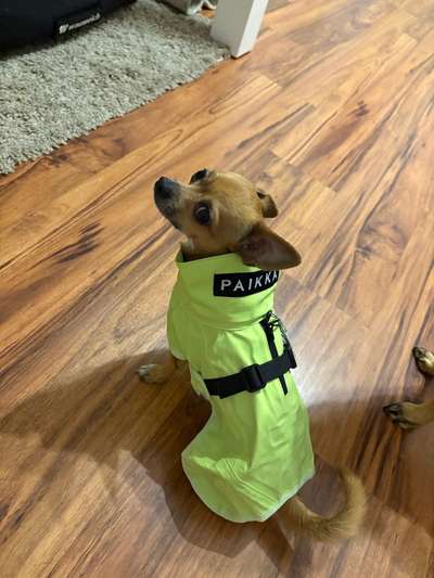 Regenjacke die wirklich hält, was sie verspricht-Beitrag-Bild