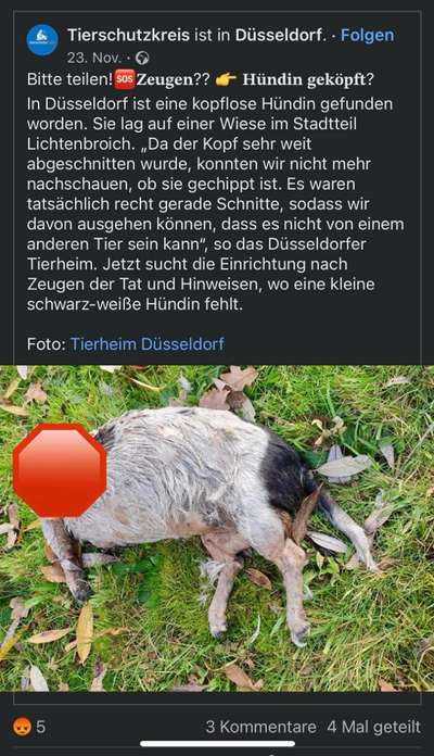 Was hat euch heute genervt?-Beitrag-Bild