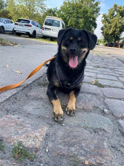 Ist das ein...?-Beitrag-Bild