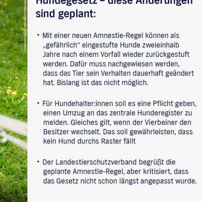 Der Fall "Sam" - Angriff oder missglückter Rettungsversuch?-Beitrag-Bild