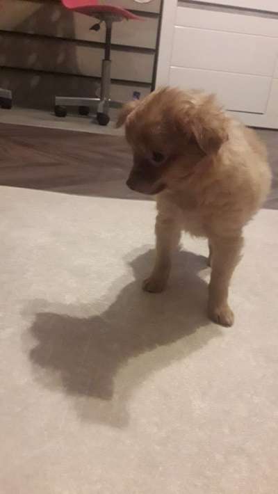 Unbelehrbar - Gibt es Möglichkeiten?-Beitrag-Bild