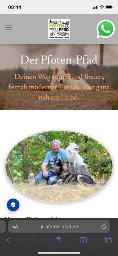 Border Collie Hilferuf-Beitrag-Bild