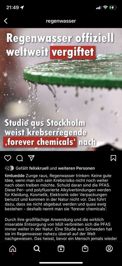 Hunde früher und heute-Beitrag-Bild