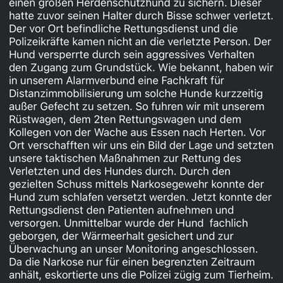 Der Fall "Sam" - Angriff oder missglückter Rettungsversuch?-Beitrag-Bild