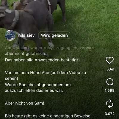 Der Fall "Sam" - Angriff oder missglückter Rettungsversuch?-Beitrag-Bild